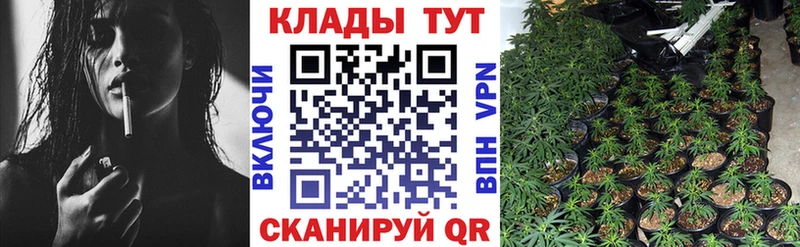 Купить закладку Метамфетамин  Меф мяу мяу  Псилоцибиновые грибы  LSD-25  Кокаин  Каннабис  Курильск