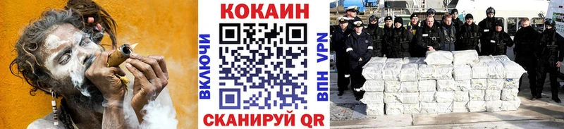 Купить закладки  Курильск  Cocaine FishScale 