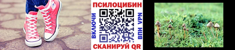 Купить закладки  Курильск  Псилоцибиновые грибы прущие грибы 
